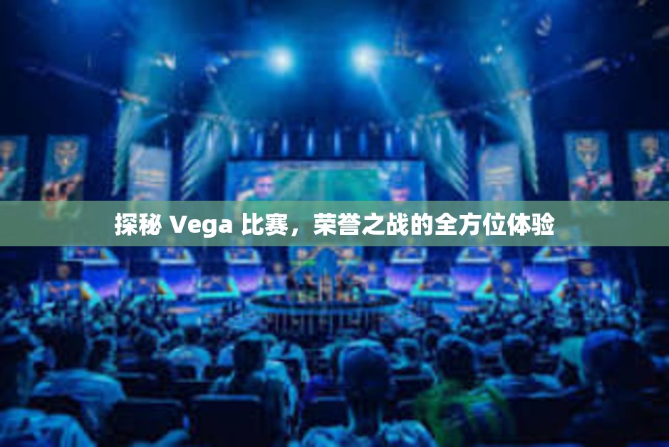 探秘 Vega 比赛，荣誉之战的全方位体验